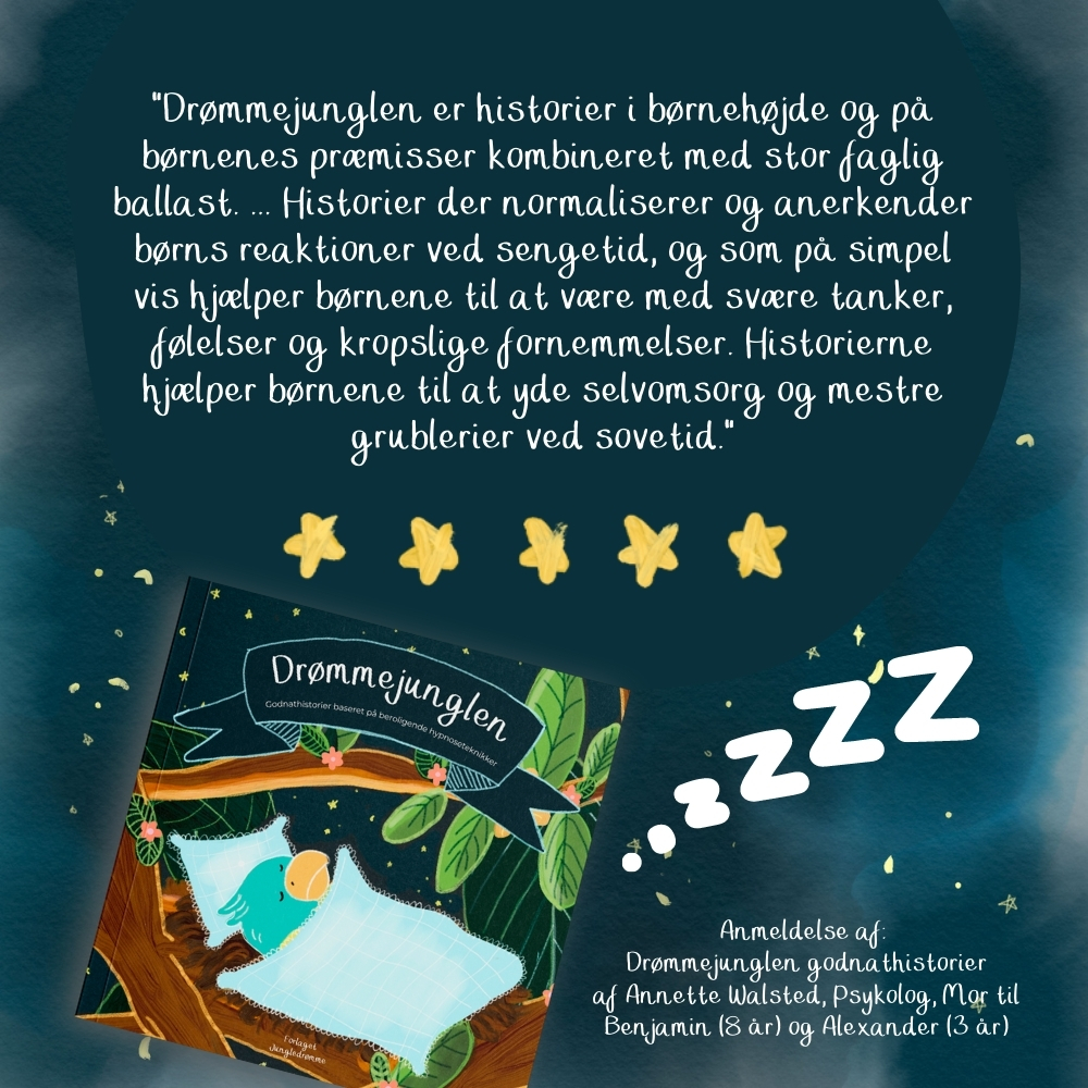 anmeldelse 02